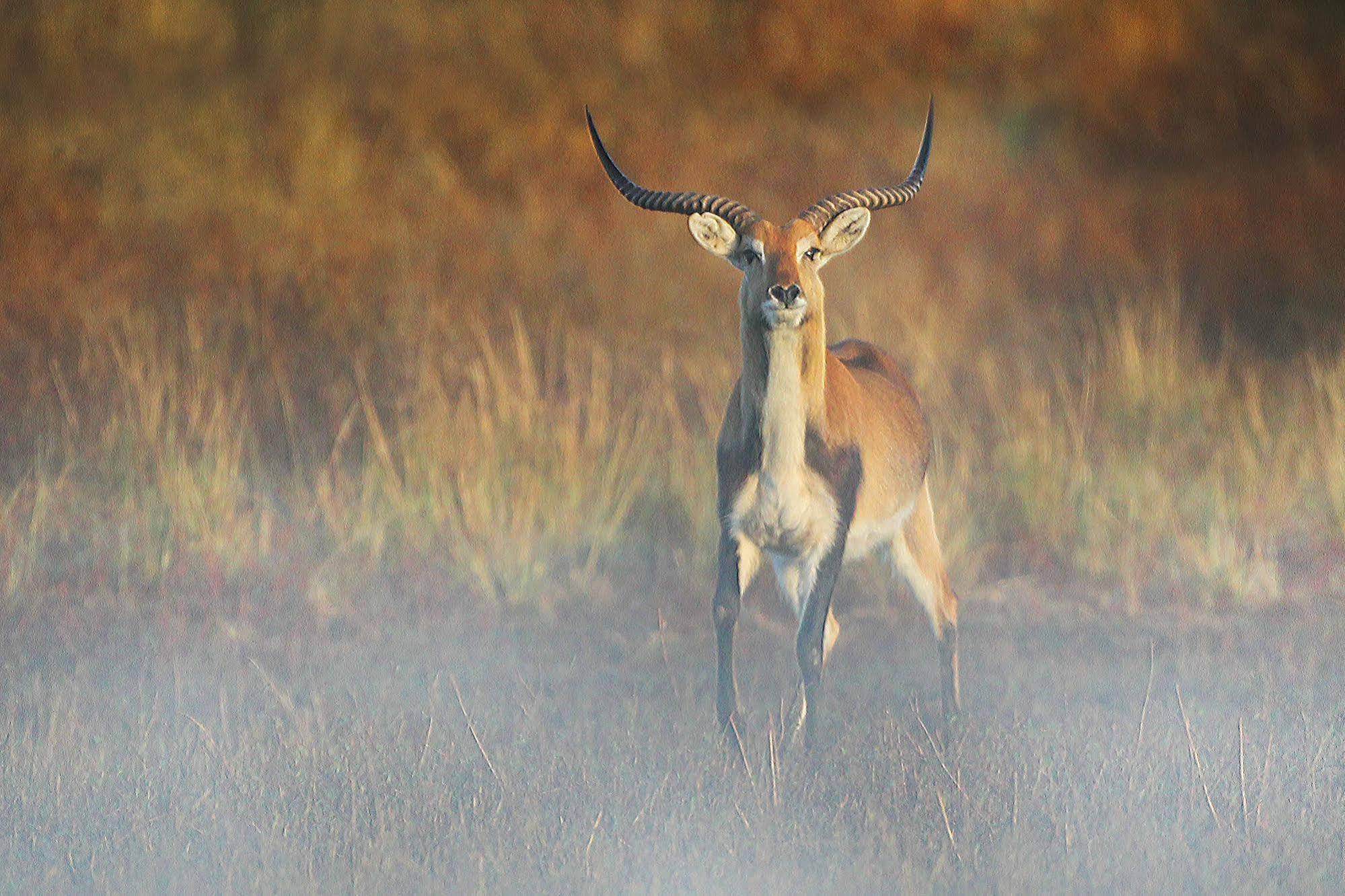 Bona Bona Game Lodge Wolmaranstad Kültér fotó