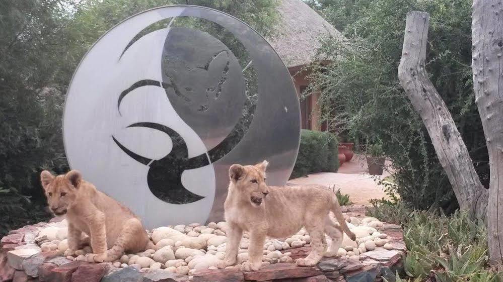 Bona Bona Game Lodge Wolmaranstad Kültér fotó